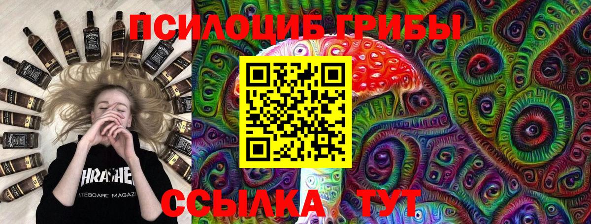 Новомосковск  Псилоцибиновые грибы Psilocybine cubensis  Вход с VPN 